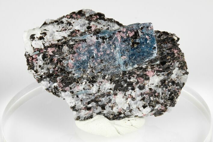 Blue Kyanite & Garnet in Biotite-Quartz Schist - Russia #178932